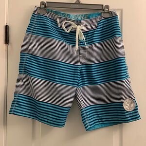 American Eagle Outfitters Blue & White Striped Swim Board Shorts